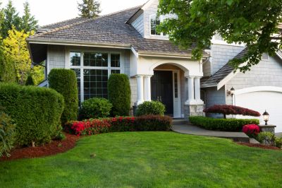 Trimmed Shrubs in a Garden