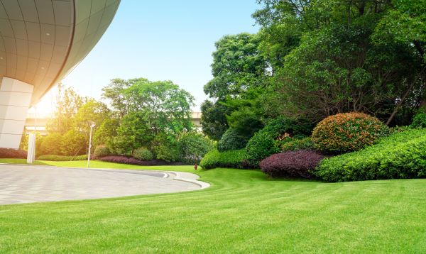 Commercial Shrub Trimming in Fort Walton Beach