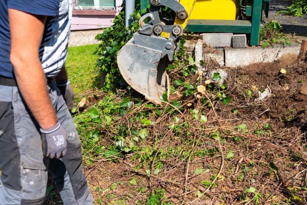 Hedge Removal Service in Fort Walton Beach
