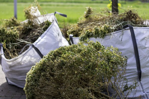 Shrubs Removal in Fort Walton Beach